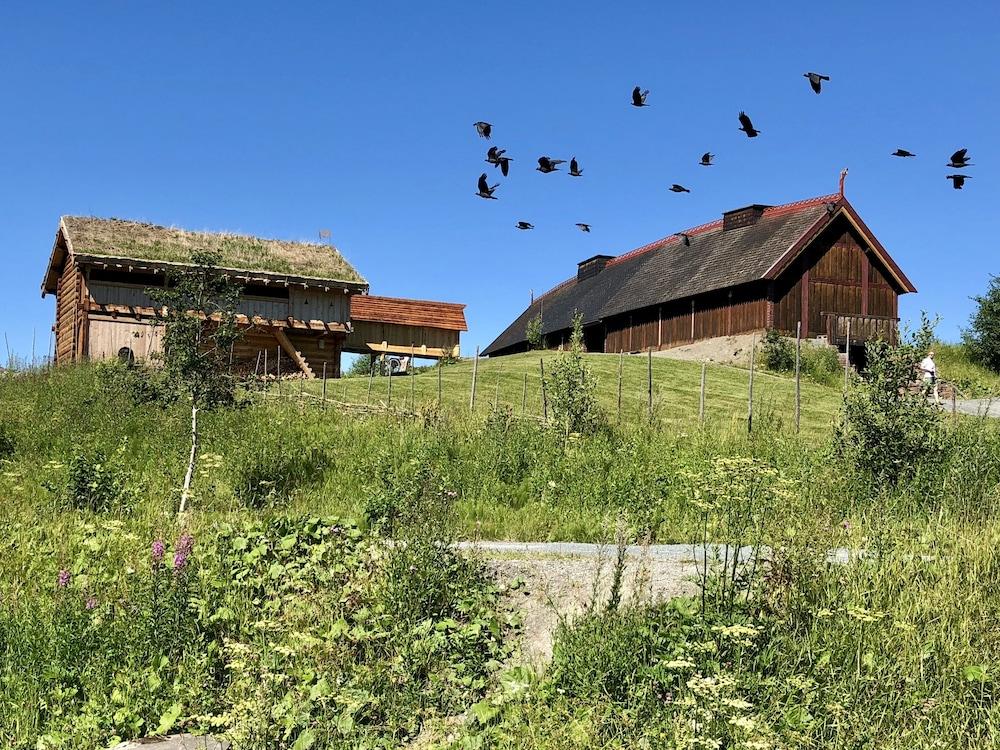 Scandic Stiklestad Verdalsora Dış mekan fotoğraf